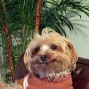 Meet your Posher, Ana